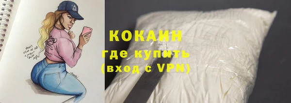 PSILOCYBIN Богданович