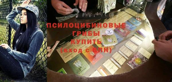PSILOCYBIN Богданович