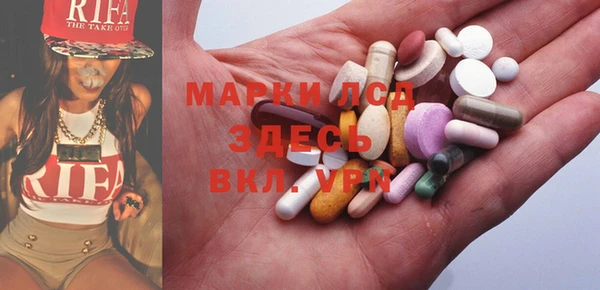 PSILOCYBIN Богданович
