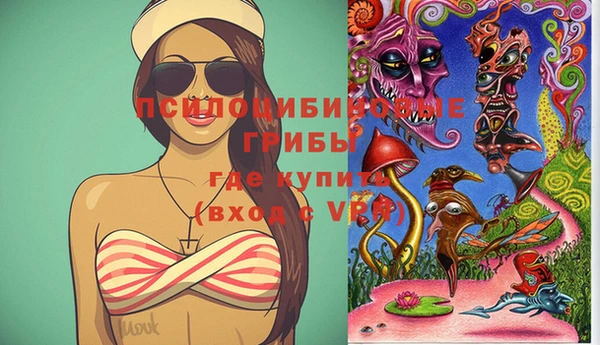 мескалин Богородицк